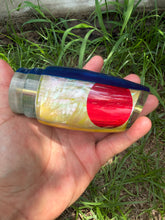 Special Koya Large Poi Dog Blue Top yellow Shell