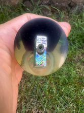 Epic Randy Llanes Purple Top Green Shell sides Tube - Random